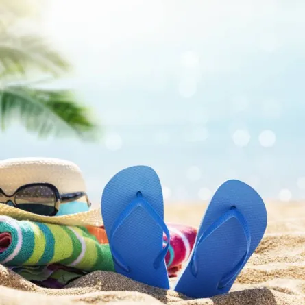 أنواع الإجازات