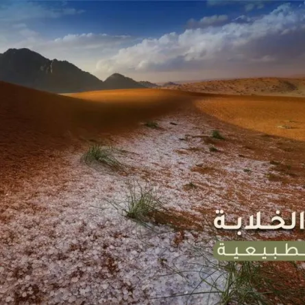 محمية الملك سلمان بن عبد العزيز الملكية