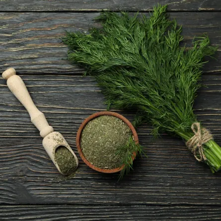 فوائد الشبت للنساء