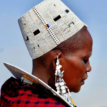 الثقافة سلوك اجتماعي إنساني