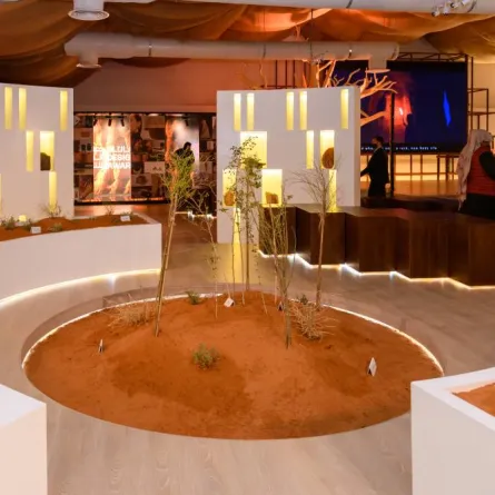 نباتات من العلا