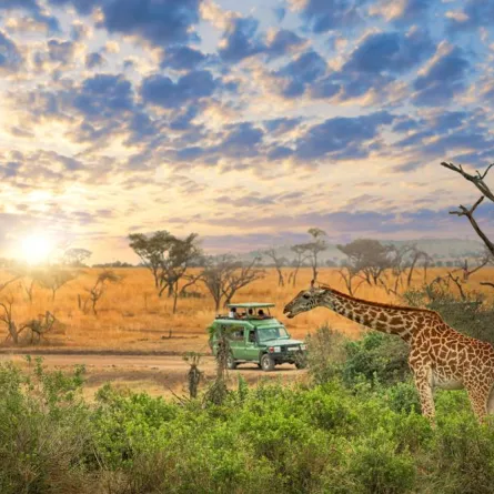 أجمل الحدائق الوطنية في العالم