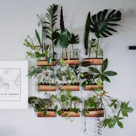 أخطاء من الواجب تجنبها في تصميم المنزل