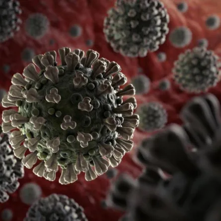 استشاري سعودي ينفي وجود علاقة بين فصول السنة ومعدل انتشار كورونا