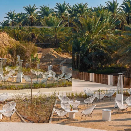 شتاء أشجار، العمارية - المصدر: حساب المقهى على إنستغرام