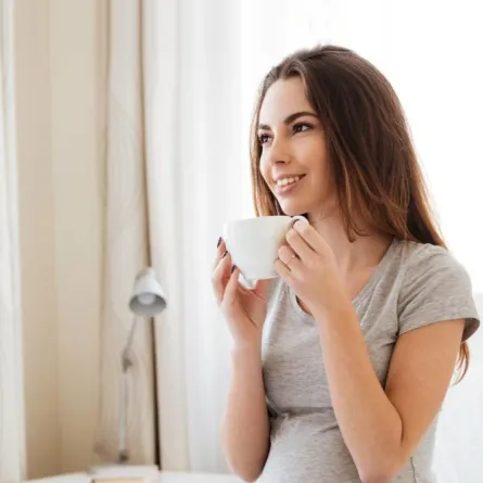 فائدة القيصوم للحامل