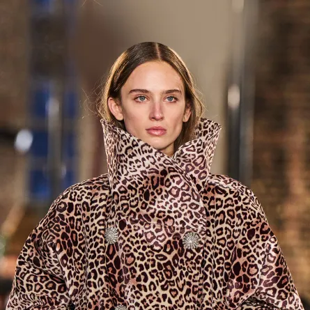 ألكسندر فوتييه Alexandre vauthier 