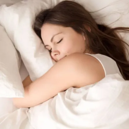 النمل الأسود