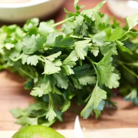 فوائد البقدونس المغلي الصحية ثمينة للغاية