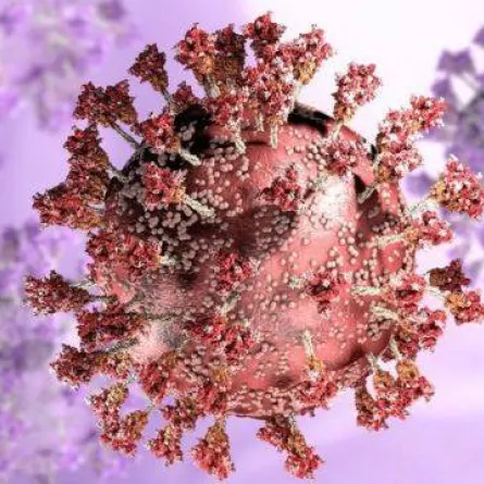 متحور أوميكرون - الصورة من bbc