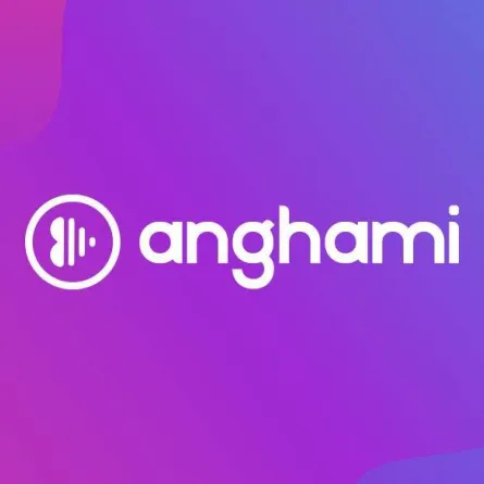 صورة من داخل موقع أنغامي