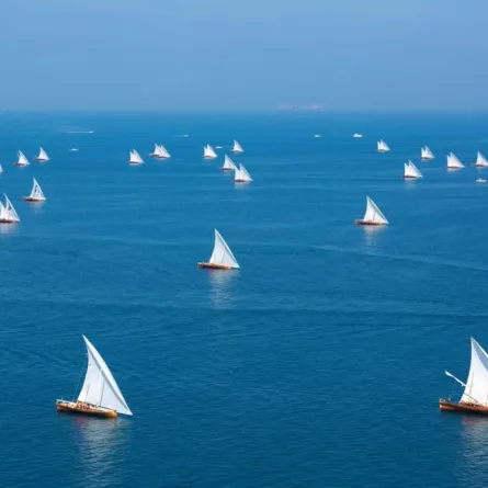 انطلاق سباقات نادي أبوظبي للرياضات البحرية التراثية للموسم 2022. الصورة من "وام"