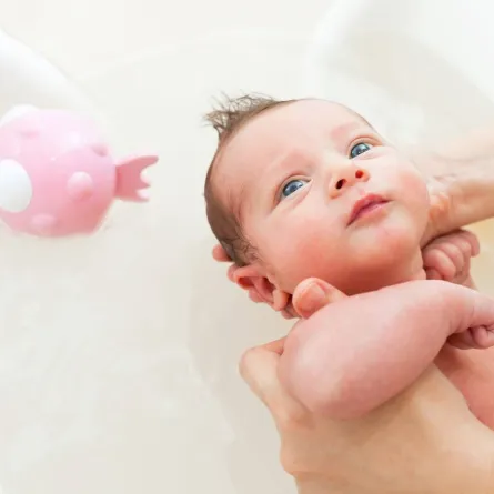 صورة لحمام المولود