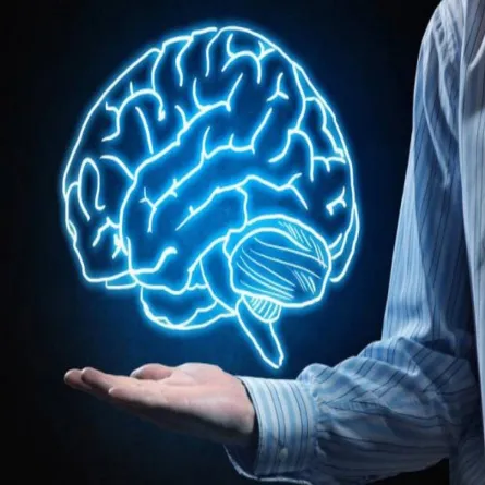 صورة لدماغ بشري مصاب بالصرع