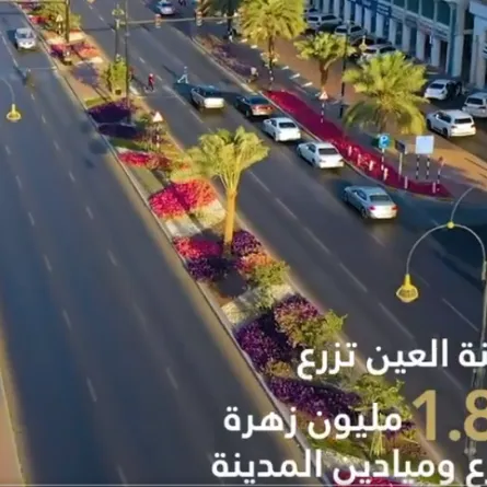 بلدية مدينة العين تزرع أكثر من 1.8 مليون زهرة على جنبات الشوارع وفي الحدائق العامة. الصورة من مكتب أبوظبي الإعلامي على تويتر
