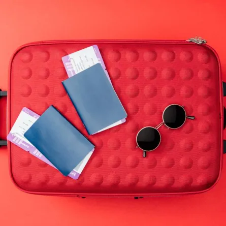 أساسيات حقيبة السفر