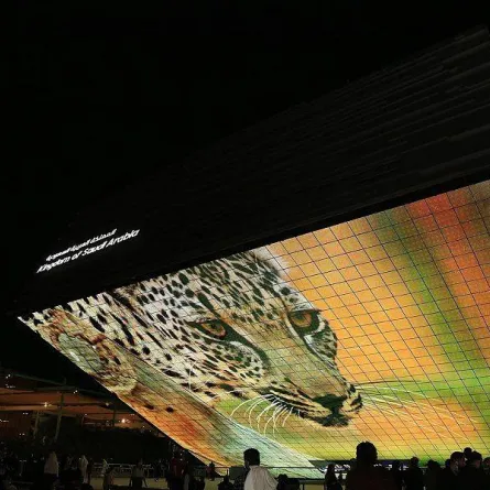 الجناح السعودي يحتفل بيوم النمر العربي في معرض "إكسبو دبي"- الصورة من واس