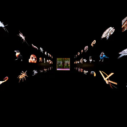 إكسبوجر 2022 فرصة لتقييم صور المحترفين والهواة وأخذ نصائح أفضل مصوري العالم. الصورة من "وام"