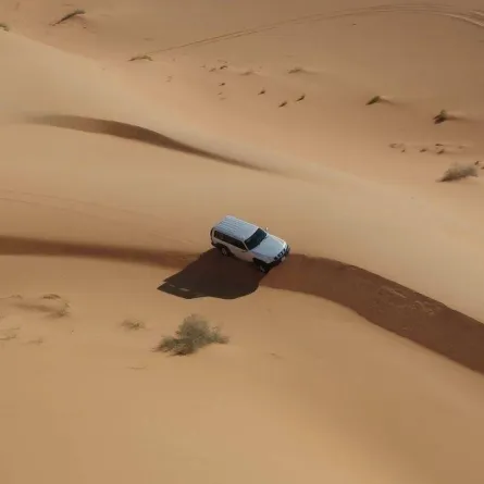 طبيعة محمية عروق بني معارض