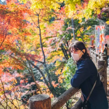 نصائح لسلامة السفر خلال الرحلة السياحية