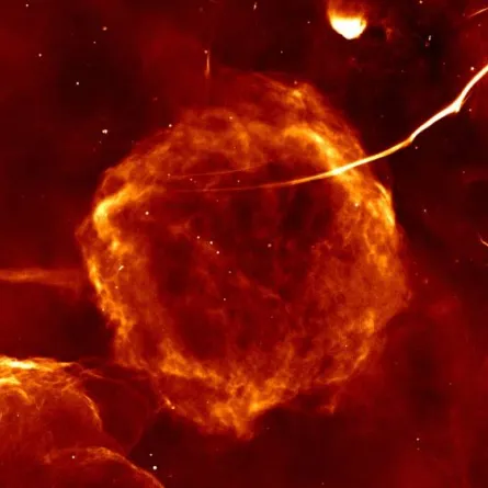 صورة بقايا الانفجارات الناتجة عن النجوم في مجرتنا