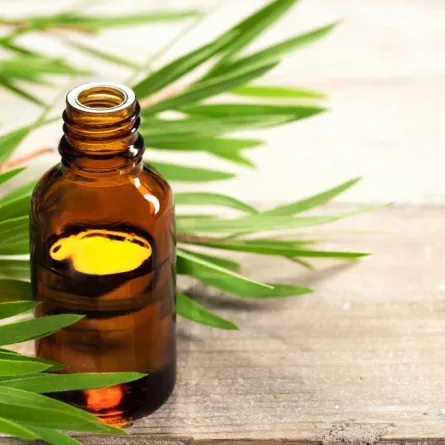 زيوت طبيعيّة طاردة للنملات