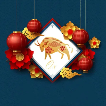 توقعات الأبراج الصينية 2022