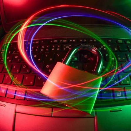 الأمن السيبراني 