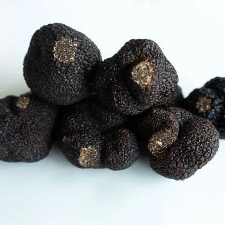 فوائد فطر الكمأة "ذهب الصحراء" تفوق التصورات