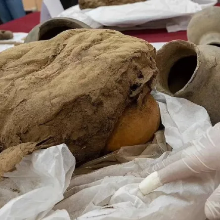 صورة اكتشافات أثرية