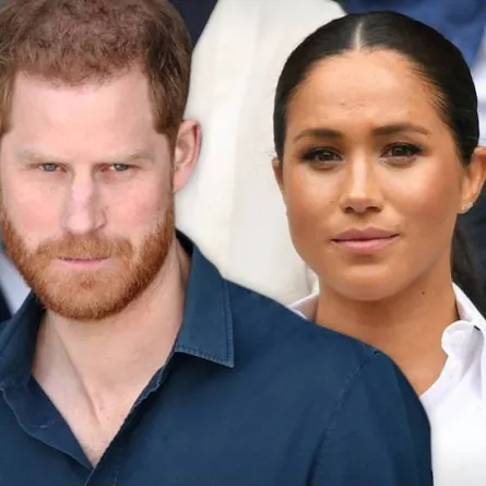 الأمير هاري وميغان ماركل - الصورة من موقع TMZ