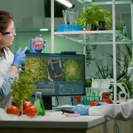 هل ستصاب بالزهايمر فى المستقبل.. اختبار دم جديد يكشف الحقيقة