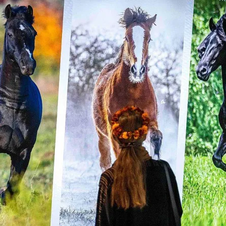 وزارة الثقافة تضع بصمتها في كأس السعودية - الصورة من واس