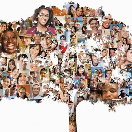 صورة تعبيرية لشجرة العائلة
