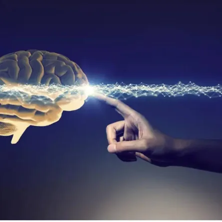  لأول مرة علماء يرصدون نشاط دماغ الإنسان عند الوفاة