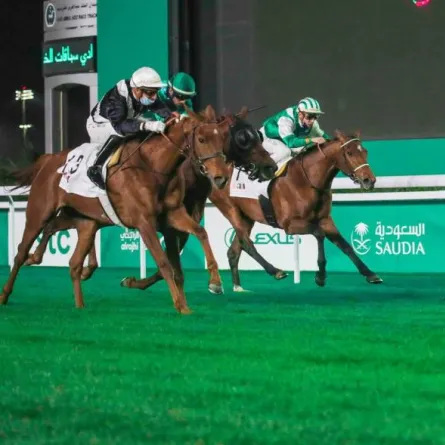سباق كأس السعودية الأغلى في سباقات الفروسية عالميا - الصورة من حساب الخطوط السعودية على تويتر