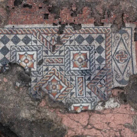 اكتشاف فسيفساء رومانية محفوظة بشكل جيد