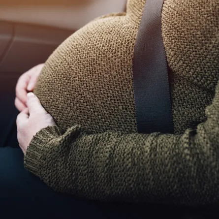 صورة لسفر الحامل