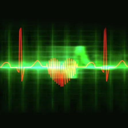 أمراض القلب لدى النساء: معلومات شاملة يجب على كل امرأة معرفتها 