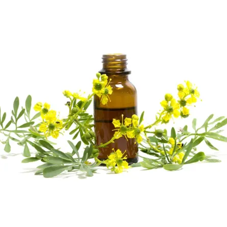 فوائد عشبة الشذاب للنساء