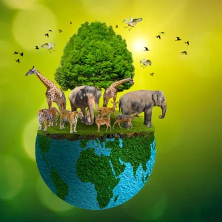 الحياة البرية