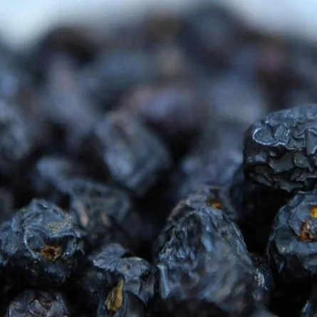 ارتفاع قيمة صادرات السعودية من التمور إلى 1.2 مليار ريال خلال عام 2021 