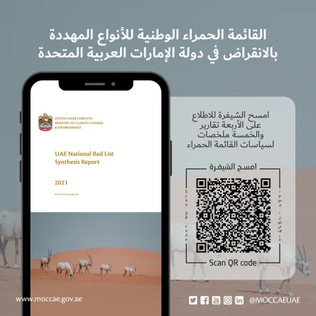 الأنواع المهددة بالانقراض في الإمارات. الصورة من "وام"