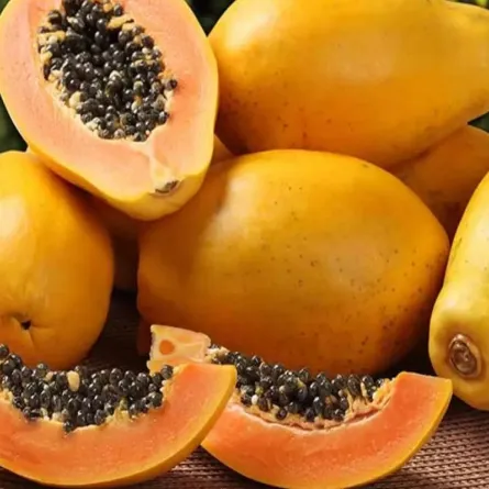 صورة لثمار البابايا