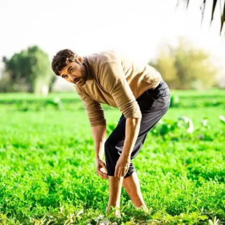 الفنان أحمد عز - صورة من صفحته على " انستغرام "