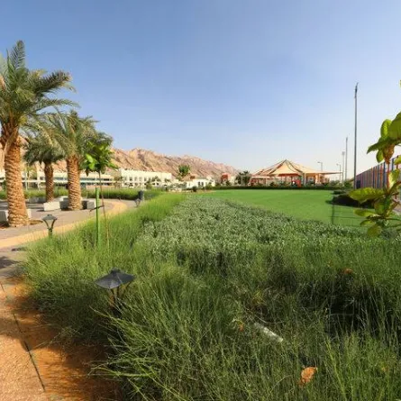 146 حديقة ضمن مشروع حدائق جبل حفيت. الصورة من المكتب الإعلامي لمكتب أبوظبي