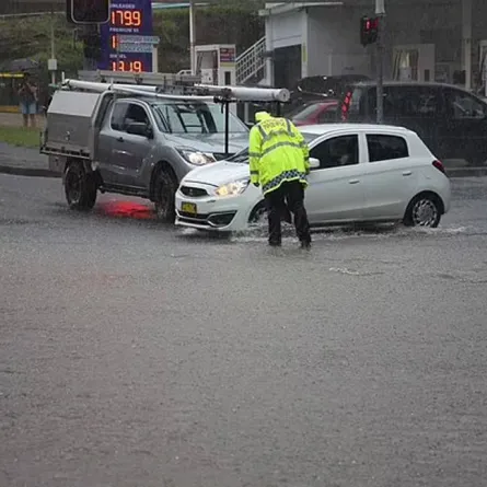 مخلوق غامض يظهر في شوارع أستراليا بعد ليلة ماطرة