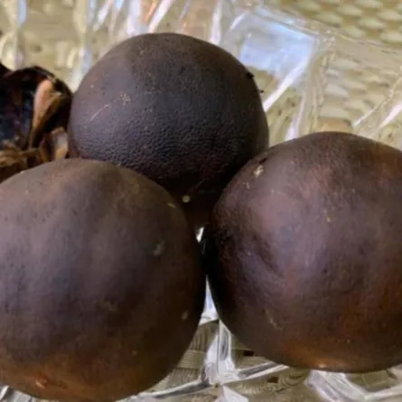 صورة لحبات الليمون الأسود المفيدة للحامل