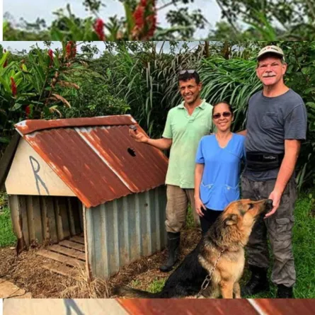 بيت الكلب الألماني - الصورة من موقع nypost