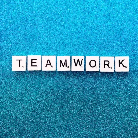 على أفراد الفريق فهم الغرض من عملهم، لأنّه عكس ذلك يفقد الحماسة